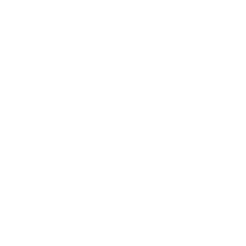 Lightwave Logo