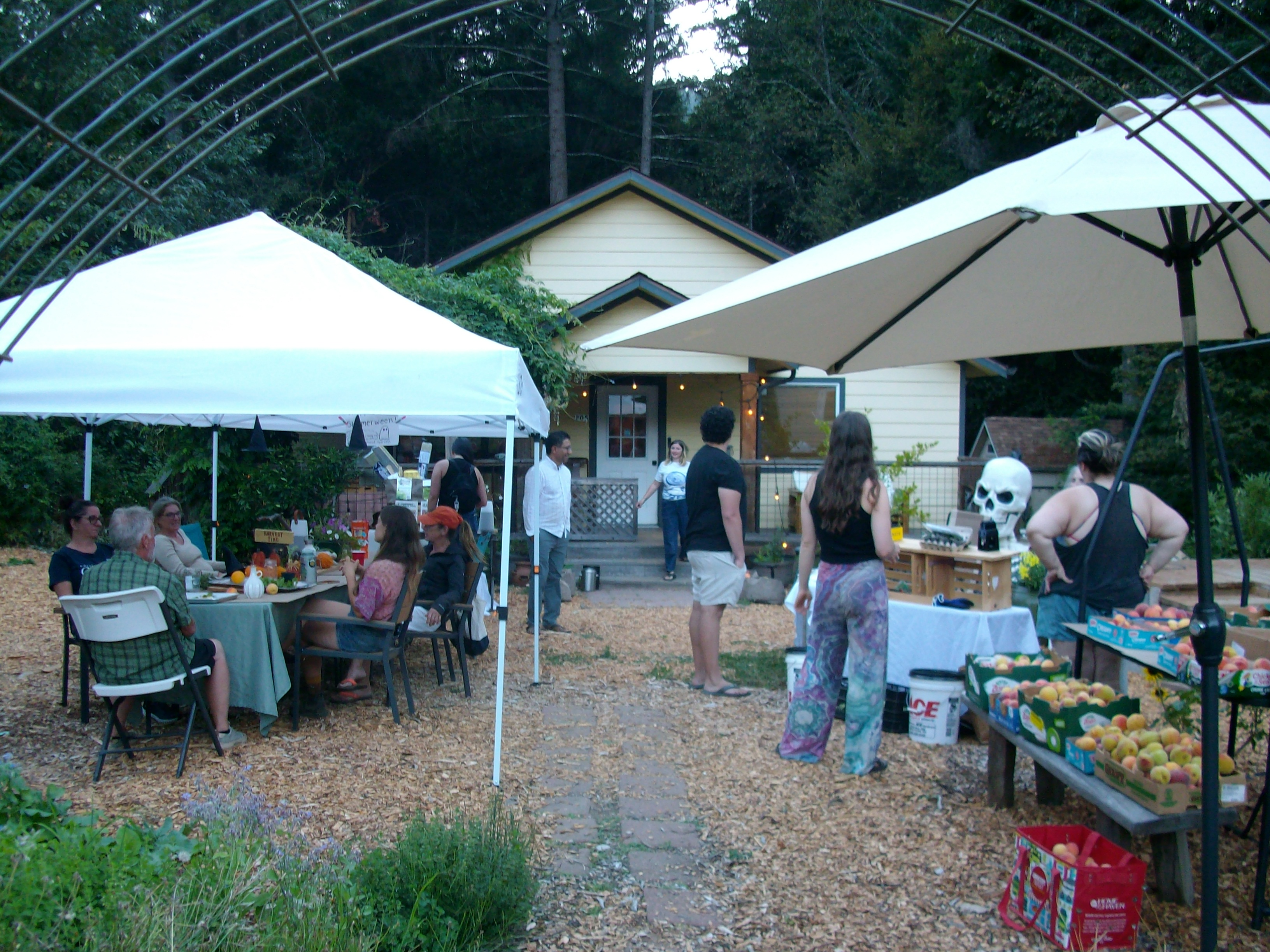 a picture showing a white pop up canopy on the left side, sitting over a long table lined by people on chairs. On the right side are three people standing next to a table with free produce. In the background is a small, welcoming white house with a large porch.
