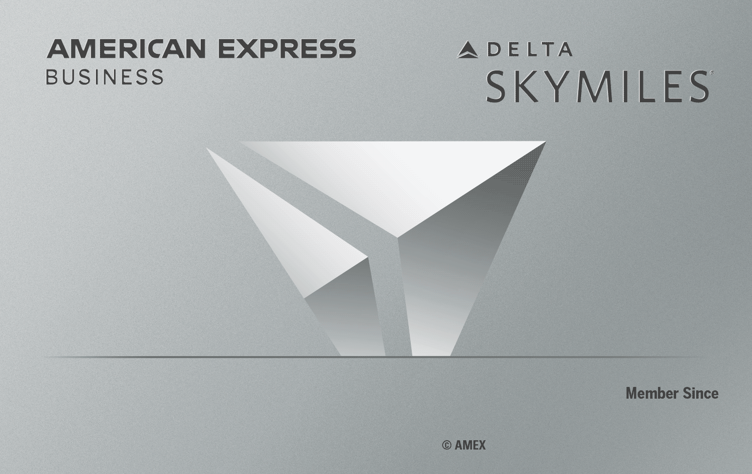 Delta SkyMiles® Platinum Business