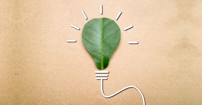 Sustainable Innovation: How Green Trends Are Shaping the Future