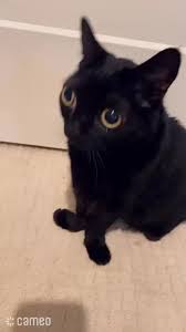 %