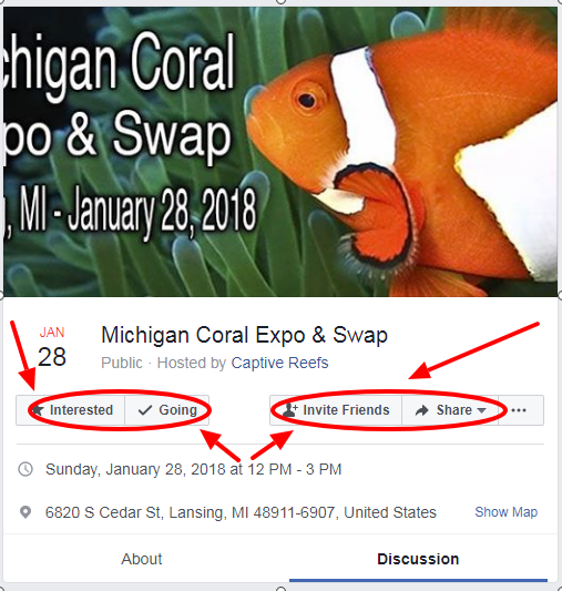 529zzzzzzzzzzzzzzzzzzzz - Michigan Coral Expo & Swap - Lansing, MI  (Jan 28, 2018)