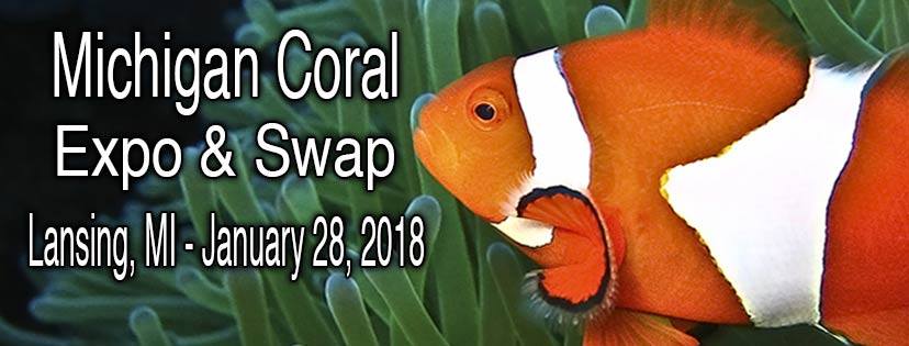 574zzzzzzzzzzzzzzzzzzzz - Michigan Coral Expo & Swap - Lansing, MI  (Jan 28, 2018)
