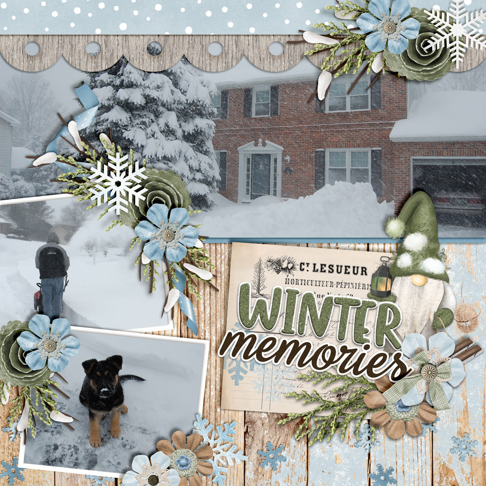 WinterMemories.jpg