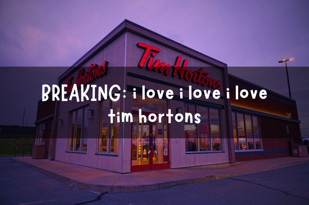 https://u.cubeupload.com/tims/1.jpg