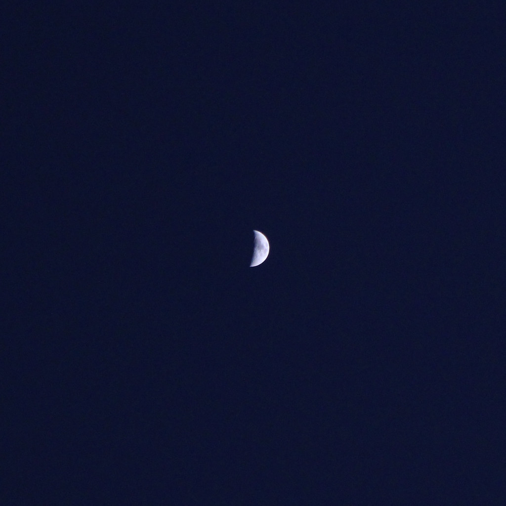 the moon