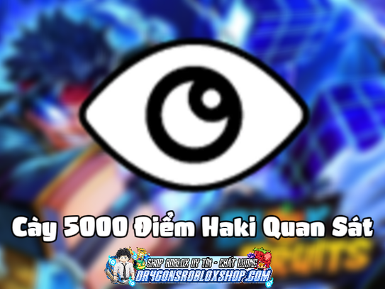 Cày 5000 Điểm Haki Quan Sát (Cày Thuê Blox Fruits)
