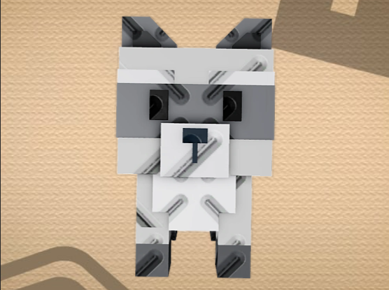 Raccoon (GAG 2)