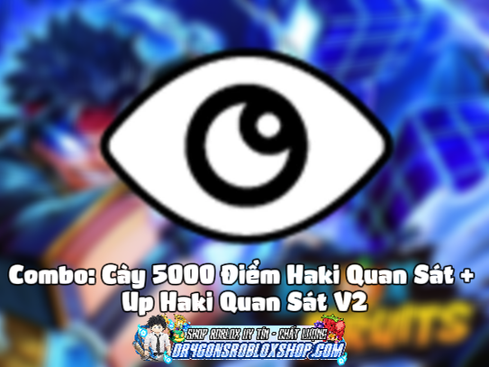 Combo: Cày 5000 Điểm Haki Quan Sát + Up Haki Quan Sát V2 (Cày Thuê Blox Fruits)
