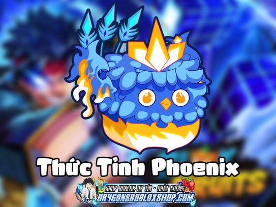 Thức Tỉnh Phoenix (Cày Thuê Blox Fruits)